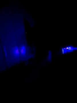 KAZADO LIBERAL online show from 22, 2, 2026