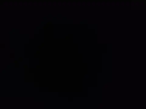 SALLY OMAR  online show from 12, 11, 2025