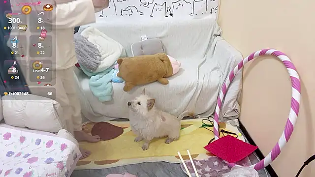 Supassra Sp online show from 25, 1, 2025