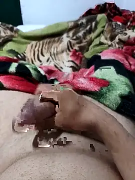 01kirito online show from 28, 2, 2026