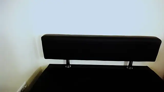 Snapshot of LaimaV_ chatting on 20, 10, 2025 LaimaV online show from 20, 10, 2025