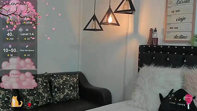 meow mota online show from 8, 3, 2025
