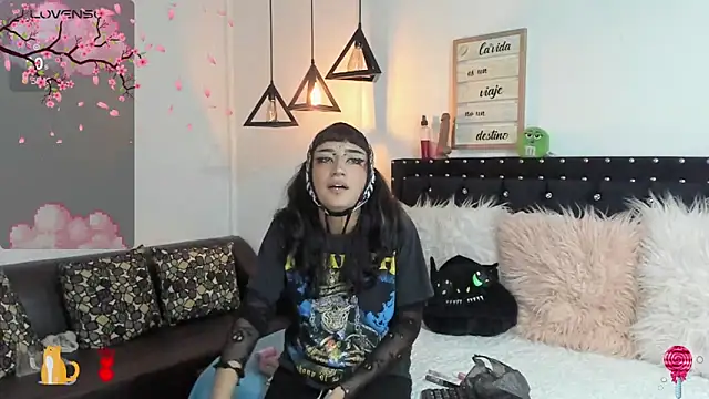 meow mota online show from 6, 3, 2025