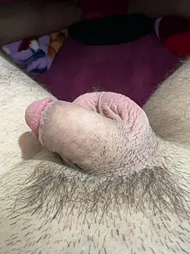 TheArabicGuyx online show from 14, 5, 2026