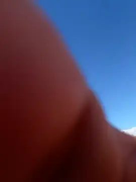 miamiworld online show from 15, 10, 2025