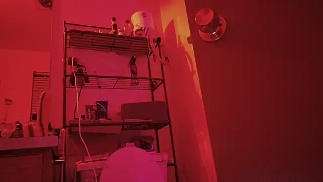 SlammyDjr online show from 3, 3, 2026