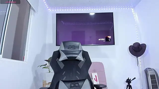 emily palmeer online show from 1, 3, 2026