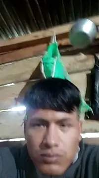 Huebolocko online show from 11, 12, 2024