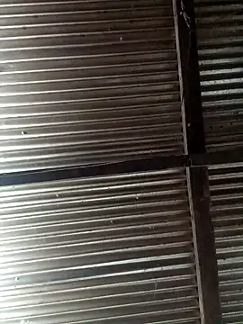 Huebolocko online show from 3, 12, 2024