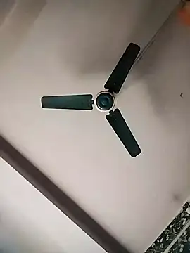  YOUR DREAM FANTASY  online show from 16, 2, 2026