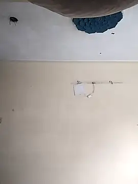 heartless  95 online show from 20, 10, 2025