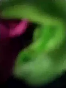 heartless  95 online show from 23, 3, 2025