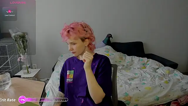 School Love online show from 12, 11, 2025