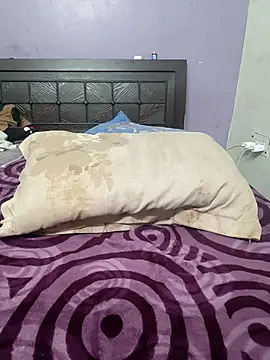 wildsakhi online show from 29, 11, 2025