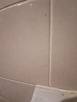 mertbey07 online show from 25, 12, 2024