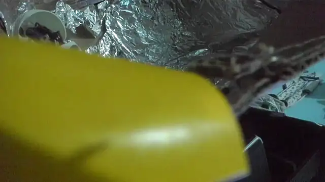 shayla brown  online show from 1, 11, 2025