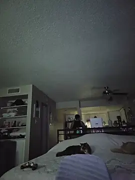 DevilDahm online show from 9, 2, 2026