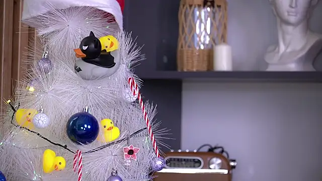 PollyBeev online show from 23, 11, 2025