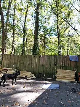 Buffshagswell online show from 21, 10, 2025