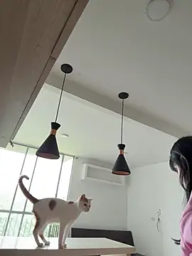 AHRI LEE online show from 20, 11, 2025