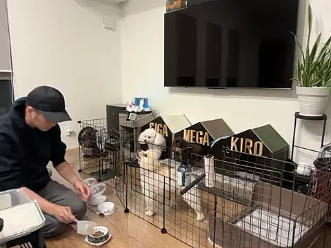 kensnb online show from 21, 10, 2025