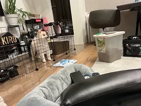 kensnb online show from 1, 11, 2025