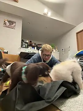 kensnb online show from 2, 2, 2026