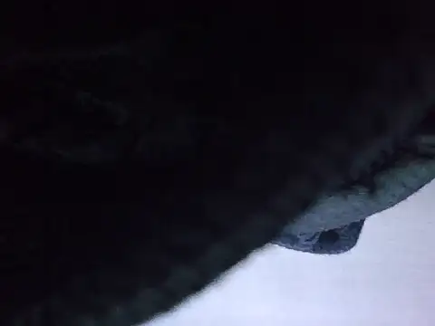 exmilitary online show from 15, 2, 2026