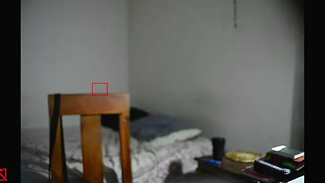 villanocat online show from 11, 2, 2025