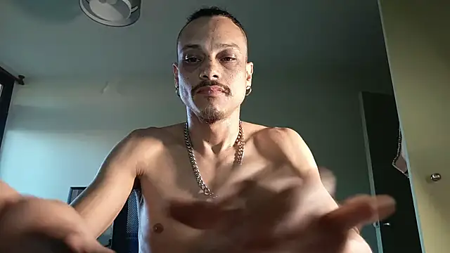 villanocat online show from 26, 11, 2025