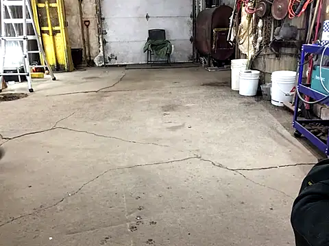 Frankdick01 online show from 10, 11, 2025