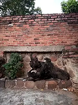 sweet outdoor charm online show from 27, 11, 2025