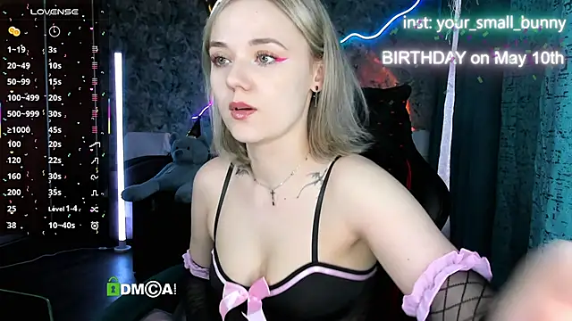 Your small bunny online show from 9, 5, 2026