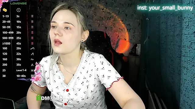 Your small bunny online show from 4, 3, 2026