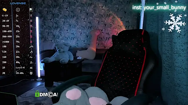 Your small bunny online show from 24, 2, 2026