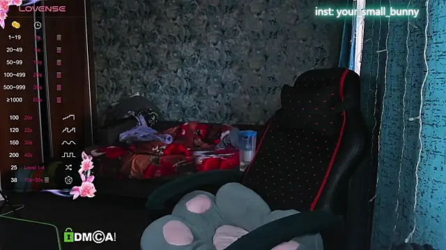 Your small bunny online show from 30, 9, 2025