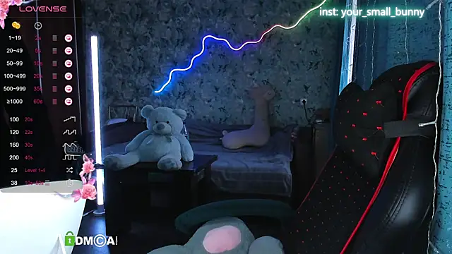 Your small bunny online show from 14, 9, 2025