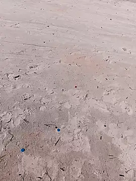 1010SumiT online show from 1, 11, 2025