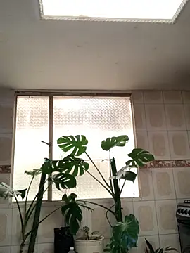 Miss oliviaa online show from 11, 11, 2025