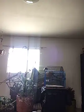 Miss oliviaa online show from 22, 10, 2025