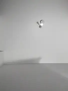 fofinhaa12 online show from 11, 11, 2025