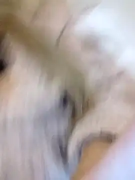 fofinhaa12 online show from 10, 2, 2026