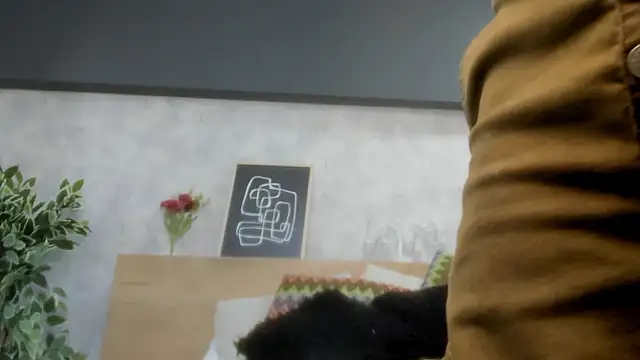 karina gomez 18 online show from 7, 3, 2026