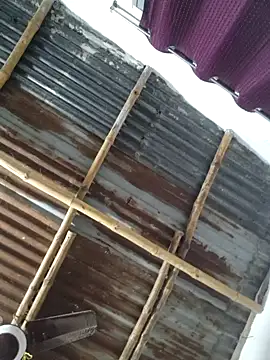 royaldoll-143 online show from 26, 12, 2024