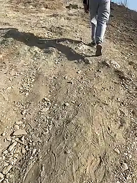 geroAguilar online show from 28, 2, 2026