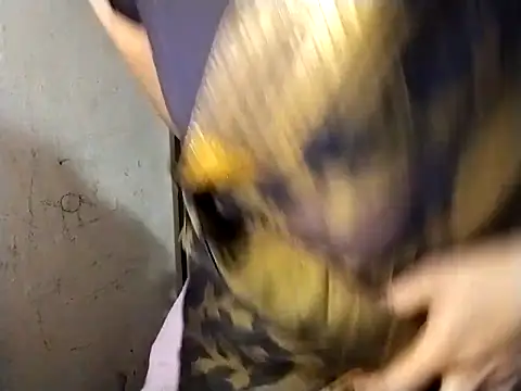 Mumbaistar online show from 6, 3, 2026