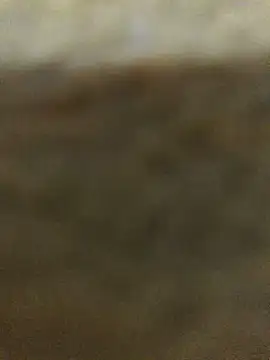 Bigdick pedro online show from 9, 9, 2025