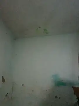  violetta - online show from 1, 11, 2025