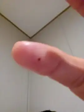 maquina789 online show from 8, 12, 2024