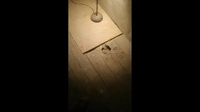 Bdsmslavebi online show from 23, 3, 2026